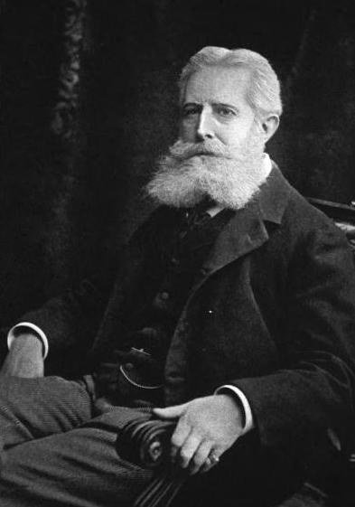 A portrait of Edmund Clarence Stedman