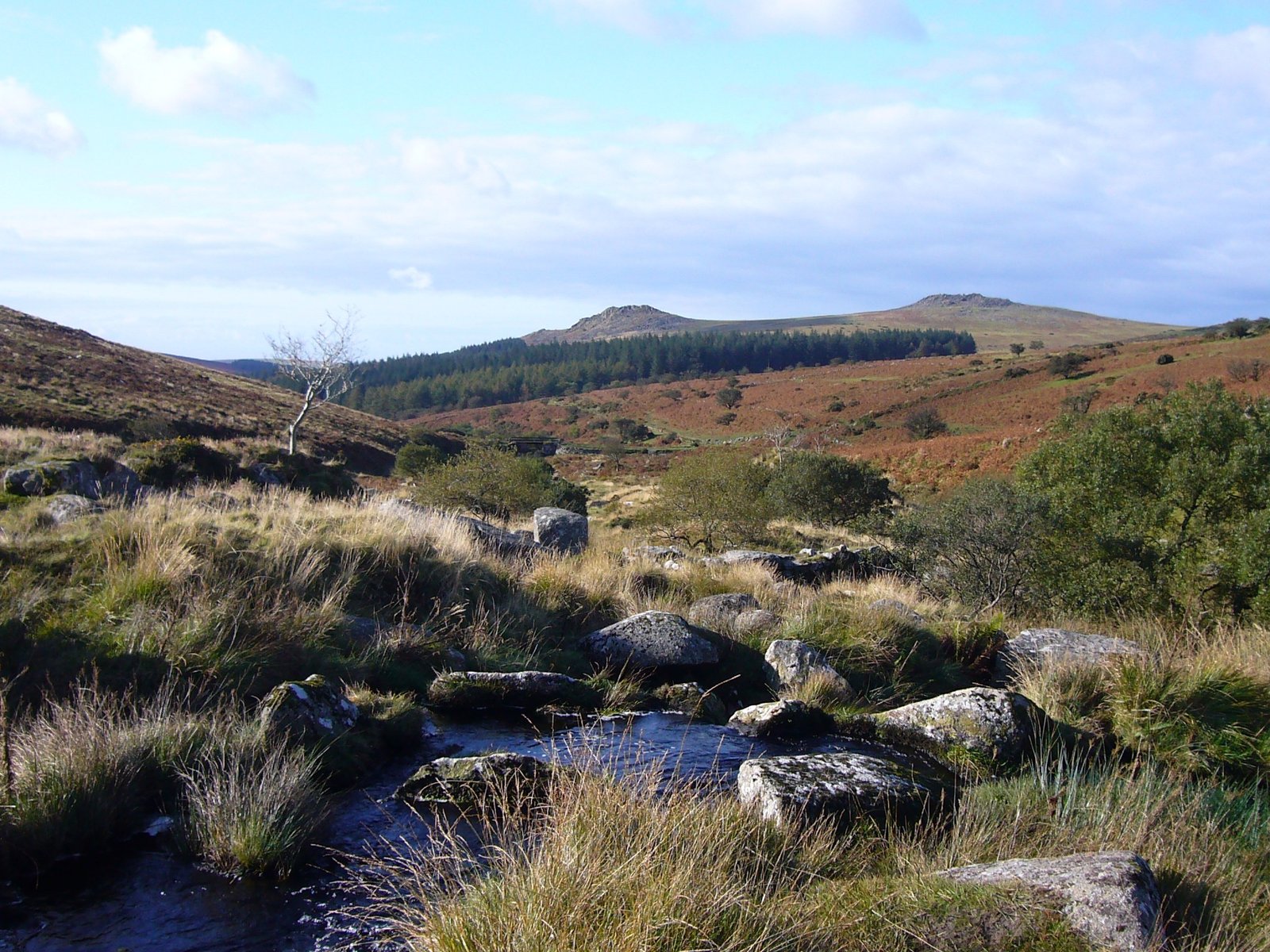 Dartmoor, above Tavistock, the country of Britannia’s Pastorals.